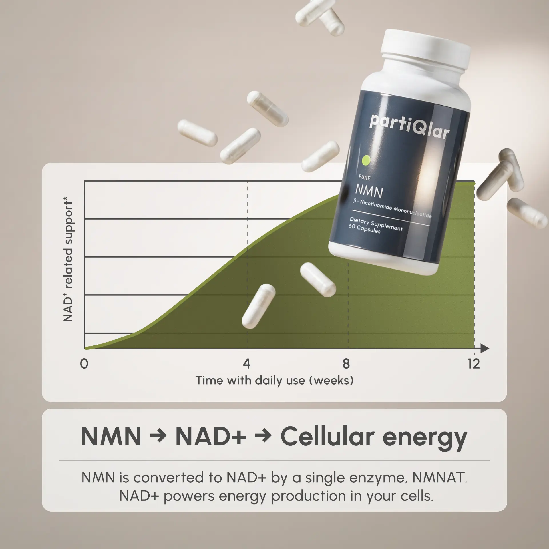 Chart showing NAD+ related support building over 12 weeks of daily NMN use, with the NMN to NAD+ to cellular energy pathway